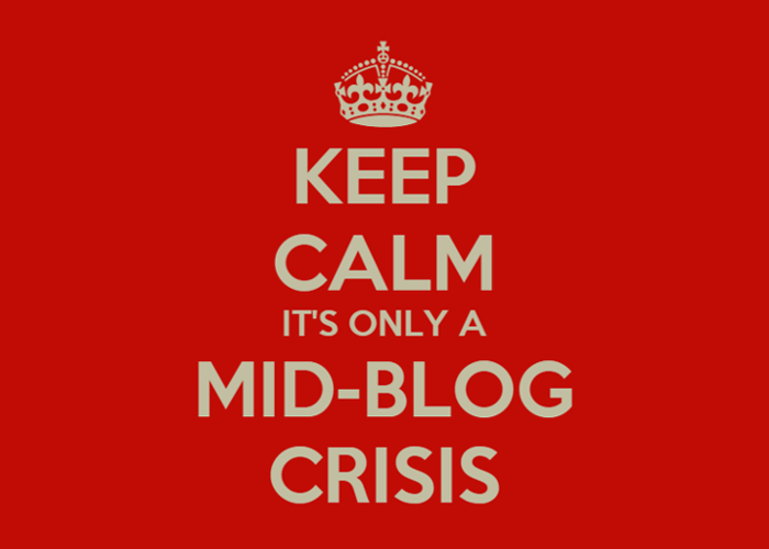 I'm having a mid-blog crisis...and I need your help