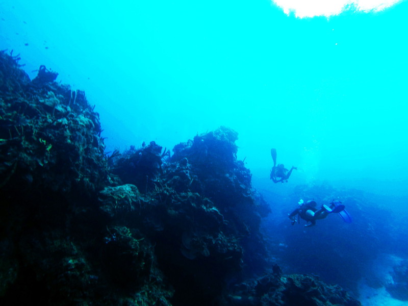 Scuba diving Cozumel