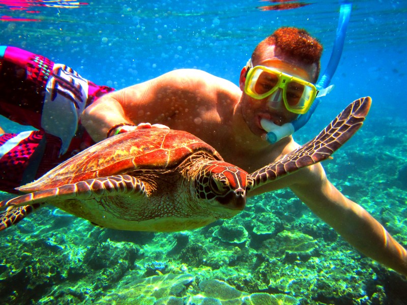 Snorkeling with a friend at the Great Barrier Reef